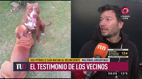 Entr A Robar A Una Casa Y Los Pitbulls Casi Lo Matan Youtube