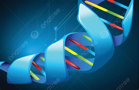 Cido Desoxirribonucleico Mol Cula De Cido Biotecnolog A Vector Png