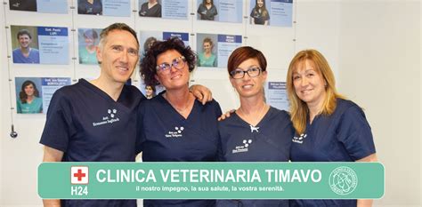 Storia Clinica Veterinaria Timavo Srl