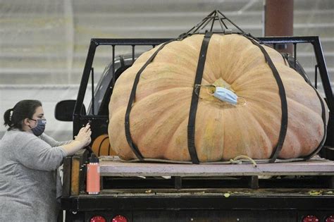 Giant Pumpkin Contest Carries On Despite Topsfield Fair S Cancellation News