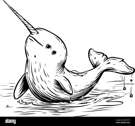 Vector Hand Drawn Illustration Of A Cute Narwhal Cartoon Style Stock