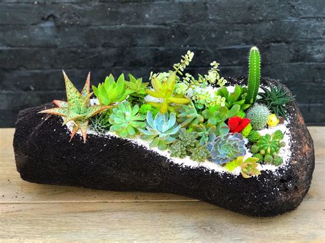 Creativos Arreglos De Suculentas Y Cactus Succulents Cacti And