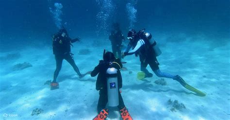 Menyelam Dengan Percaya Diri Penyegaran Scuba PADI Di Bohol Bersama