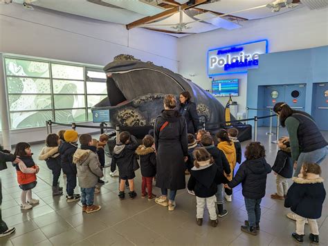 La classe de toute petite et petite sections en visite à Océanopolis