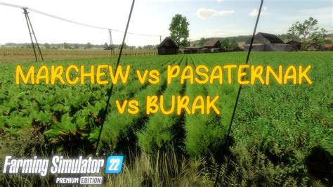 Marchew Vs Pasternak Vs Burak Farming Simulator Premium Expansion