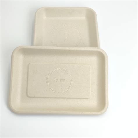 Natural Degradable Rectangular Food Tray Sugarcane Bagasse