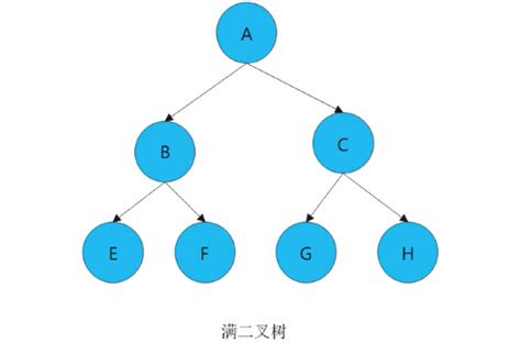 带你全面的了解二叉树 知乎