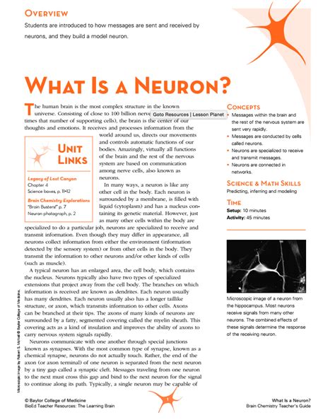 What Is a Neuron? Lesson Plan for 6th - 12th Grade | Lesson Planet 