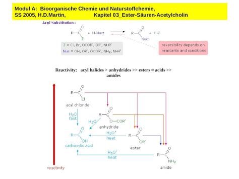 Ppt Modul A Bioorganische Chemie Und Naturstoffchemie Ss H D