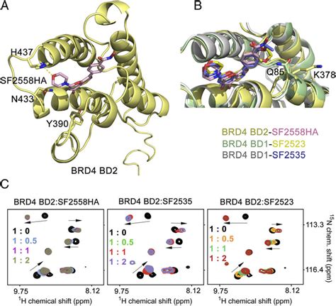 Structural Mechanism For The Recognition Of Inhibitors By Brd Bd A