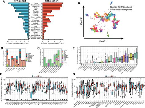 Frontiers The Prognostic And Immune Significance Of C Orf In Pan