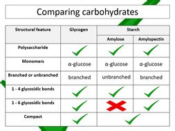 Glycogen, amylose and amylopectin (Edexcel Int. A-level Biology) | Teaching Resources