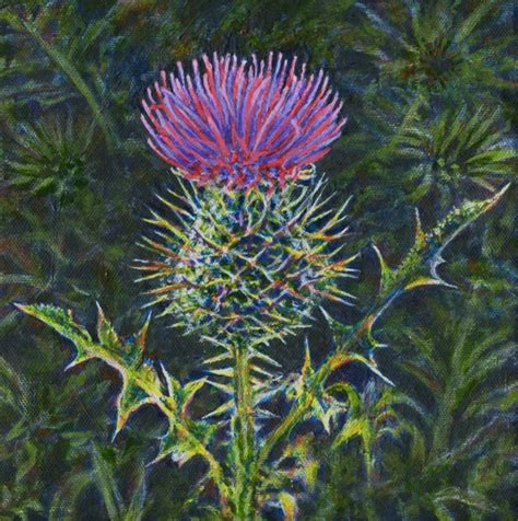 Scottish Thistle Botanical Nature Art Original Painting For Sale