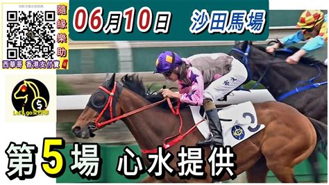 分析 第五場🔥超級三t多寶次關【香港賽馬】6月10日 沙田馬場 泥草混合賽 草地c跑道 Youtube