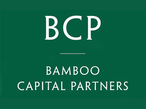 bamboo capital partners government  togo  moeda seeds bank launch
