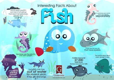 Fascinating Fish Facts for Curious Minds