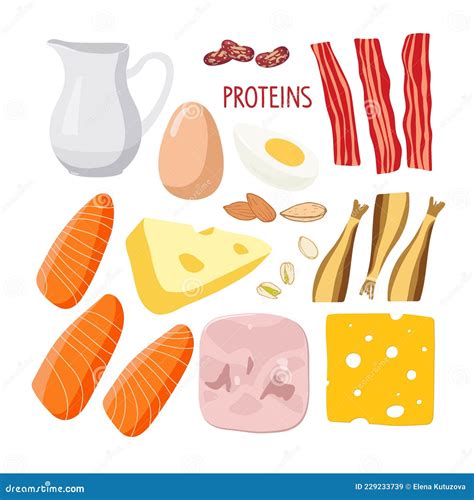 Food Macronutrients Rich In Protein Food Set High Proteins Food For