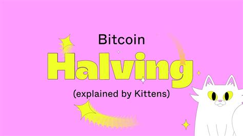 All About The Bitcoin Halving 2024 Youtube