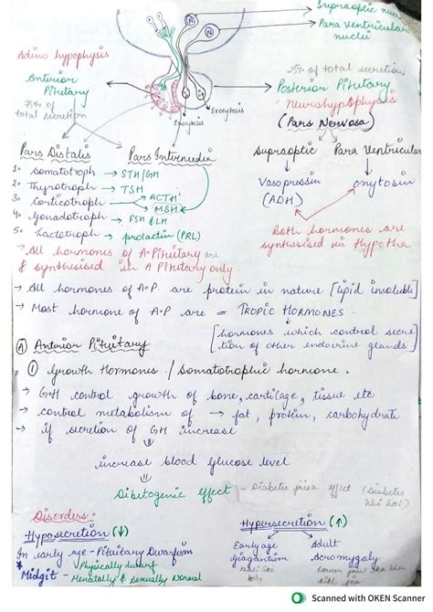 Solution Chemical Control And Coordination Ncert Notes With Diagrams