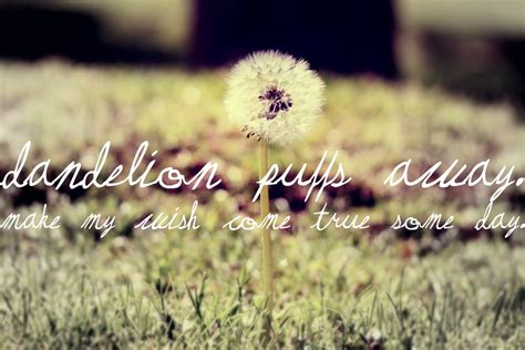 Quotes About Dandelions 43 Quotes