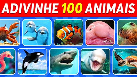 Adivinhe 100 Animais Marinhos em 3 Segundos Fácil Médio Difícil