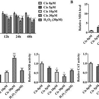 Cisplatin Inhibits The Viability And Promotes The Oxidative Stress In