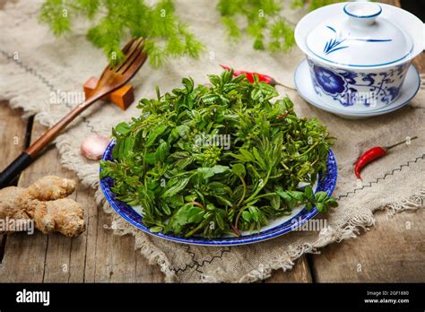 Chinese Prickly Ash Bud Stock Photo Alamy