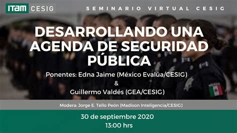 Desarrollando Una Agenda De Seguridad Pública Centro De Estudios