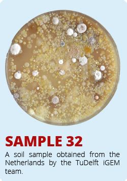 Team Nrp Uea Norwich Humanpractice Soilsamples Igem Org