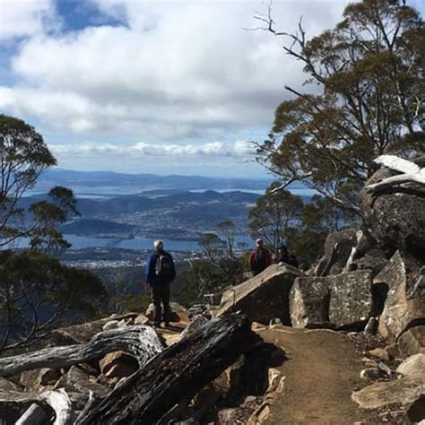 Kunanyi Mt Wellington Explorer Bus Summit Tour Hobart Fever