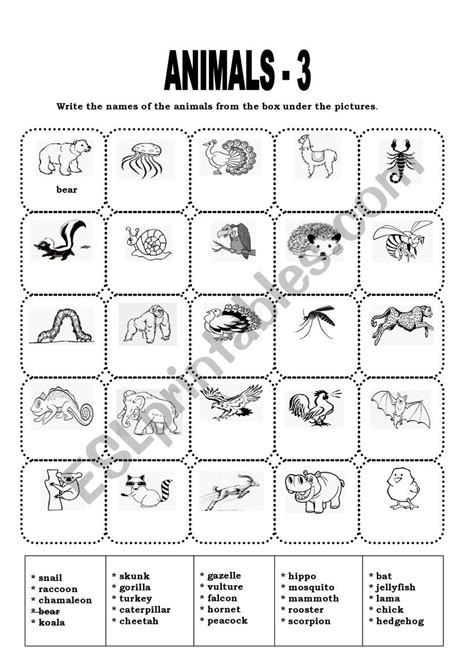 Animals 3 Vocabulary Exercise Esl Worksheet By Busraguclu