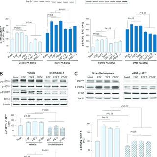 P Cas Facilitates The Proliferative And Migratory Actions Of