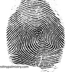 Life Purpose Reading Your Life Mission Destiny Palmistry Home