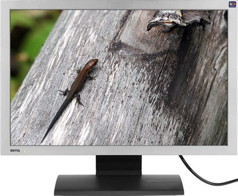ЖК-монитор BenQ FP222W a