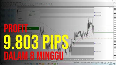 Cara Profit Konsisten Di Forex Youtube