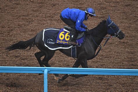 【ジャパンカップ追い切り】ユーバーレーベンは5馬身追走から併入 手塚調教師「いい動きだったと思います」 競馬ニュース・特集なら東スポ競馬