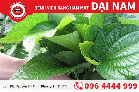 Đau răng và cách chữa hiệu quả nhất Trung tâm Nha khoa Đại Nam