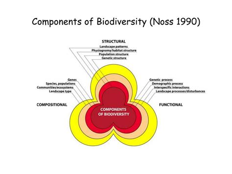 Ppt Components Of Biodiversity Noss 1990 Powerpoint Presentation