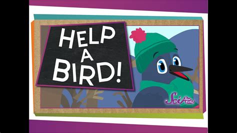 How To Help A Bird Animal Science For Kids