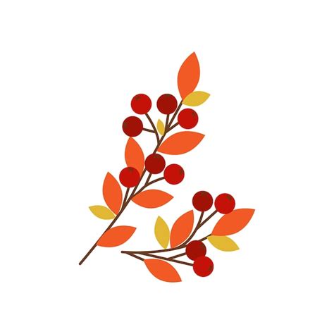 Premium Vector Rowan Branches With Yellow And Red Leaves And Berries