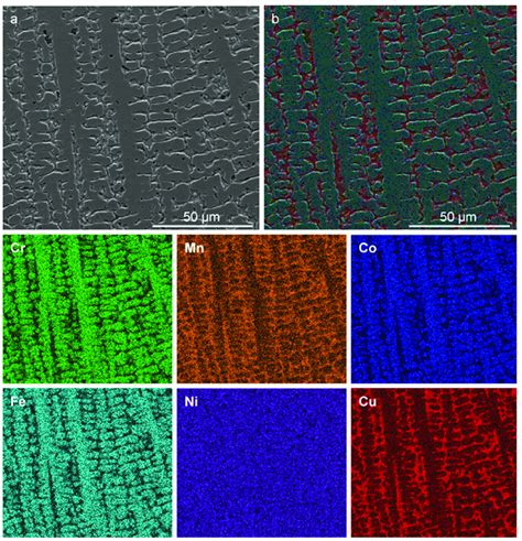 Microstructure Of As Cast CrMnFeCoNiCu Alloy A SEM Micrograph