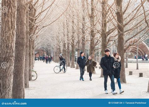 Tourists Enjoy Tree-lined Trails of Nami Island (Namiseom) Editorial Stock Image - Image of ...