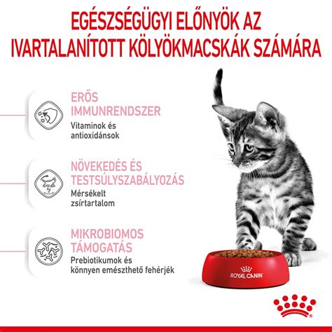 ROYAL CANIN KITTEN STERILISED - ivartalanított kölyök macska száraz táp ...