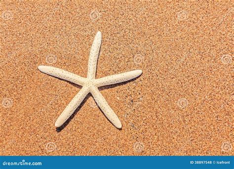 White Starfish On Beach Stock Photo Image 38897548