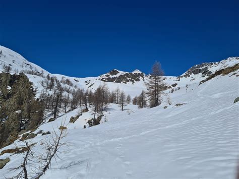 Bocon Damon O Punta Giasset Dalla Strada Per Dondena Sci Alpinismo