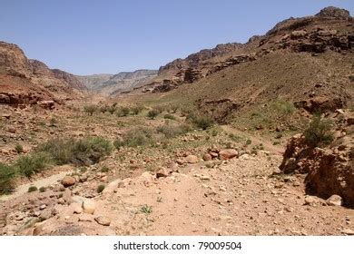 109 Deserts and xeric shrublands Stock Photos, Images & Photography