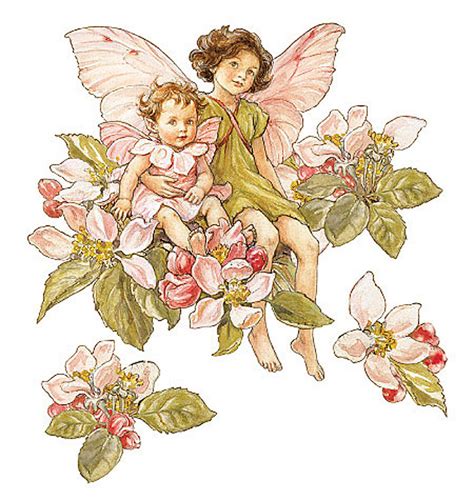 Wall Stickers Flower Fairies Hawk Haven