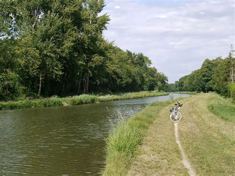 P Che Canal Du Loing Fishsurfing