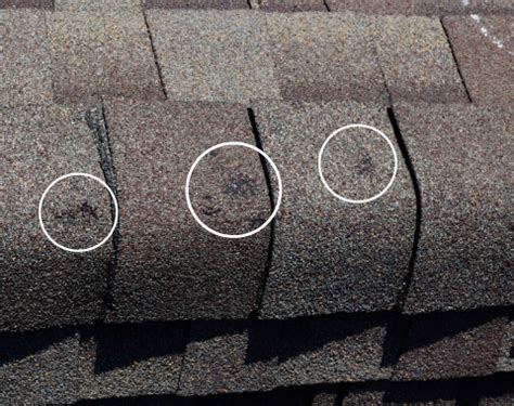 Hail and Storm Damage Repair | North Texas Roofing | Free Inspection