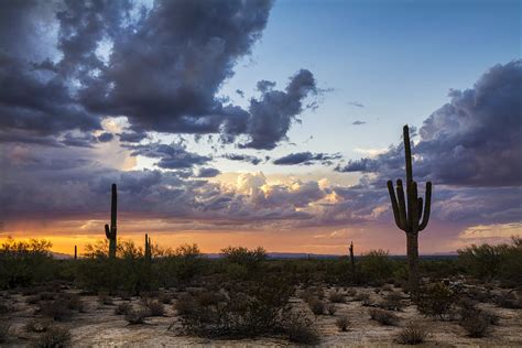 Evening Desert Rain Photograph By Saija Lehtonen Fine Art America